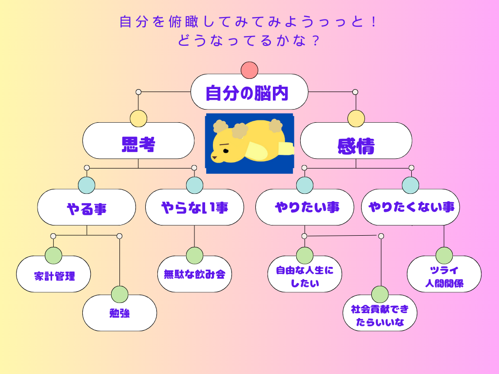 脳の使い方の図解