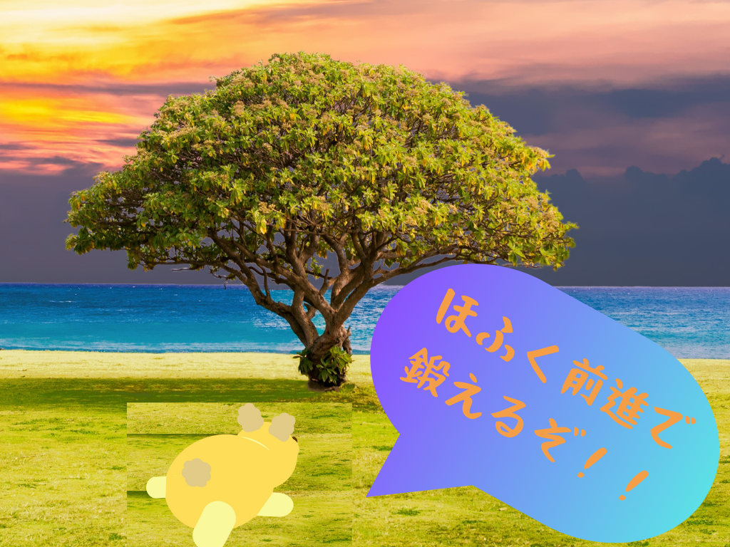 鍛えようとしてる絵