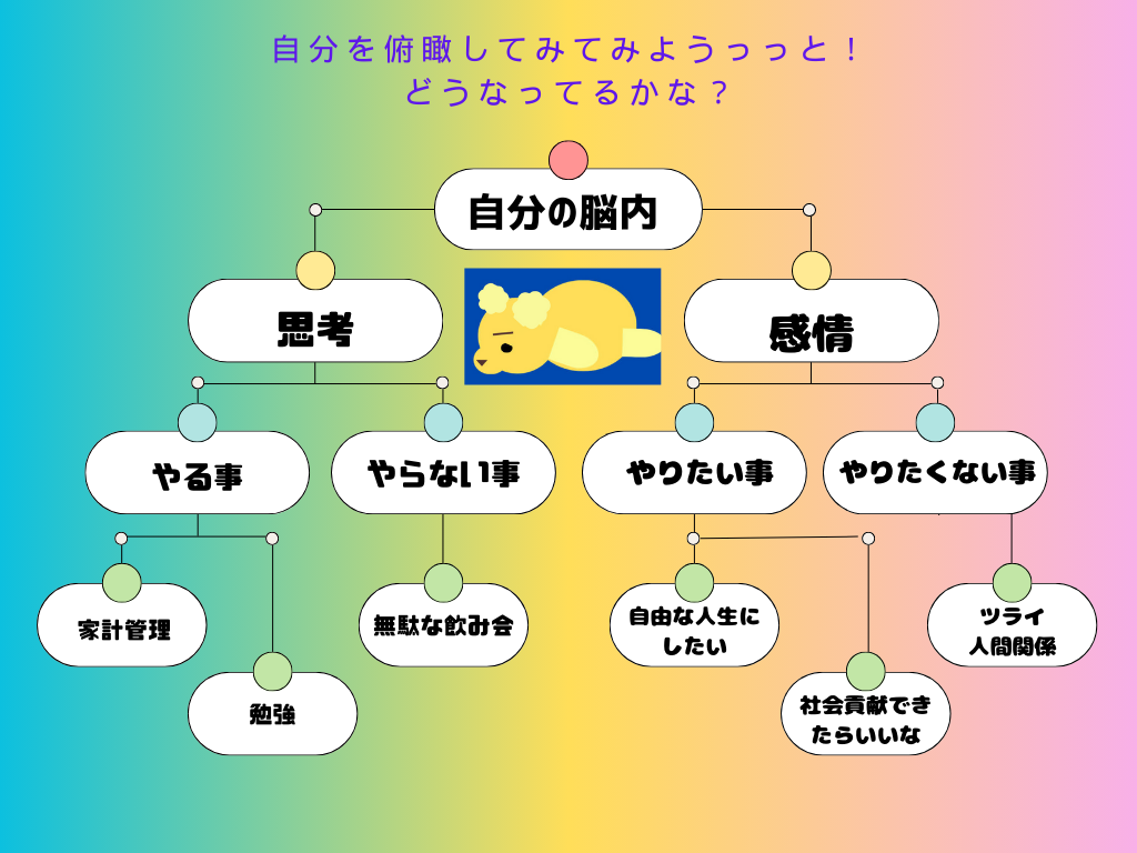 脳の使い方の図解