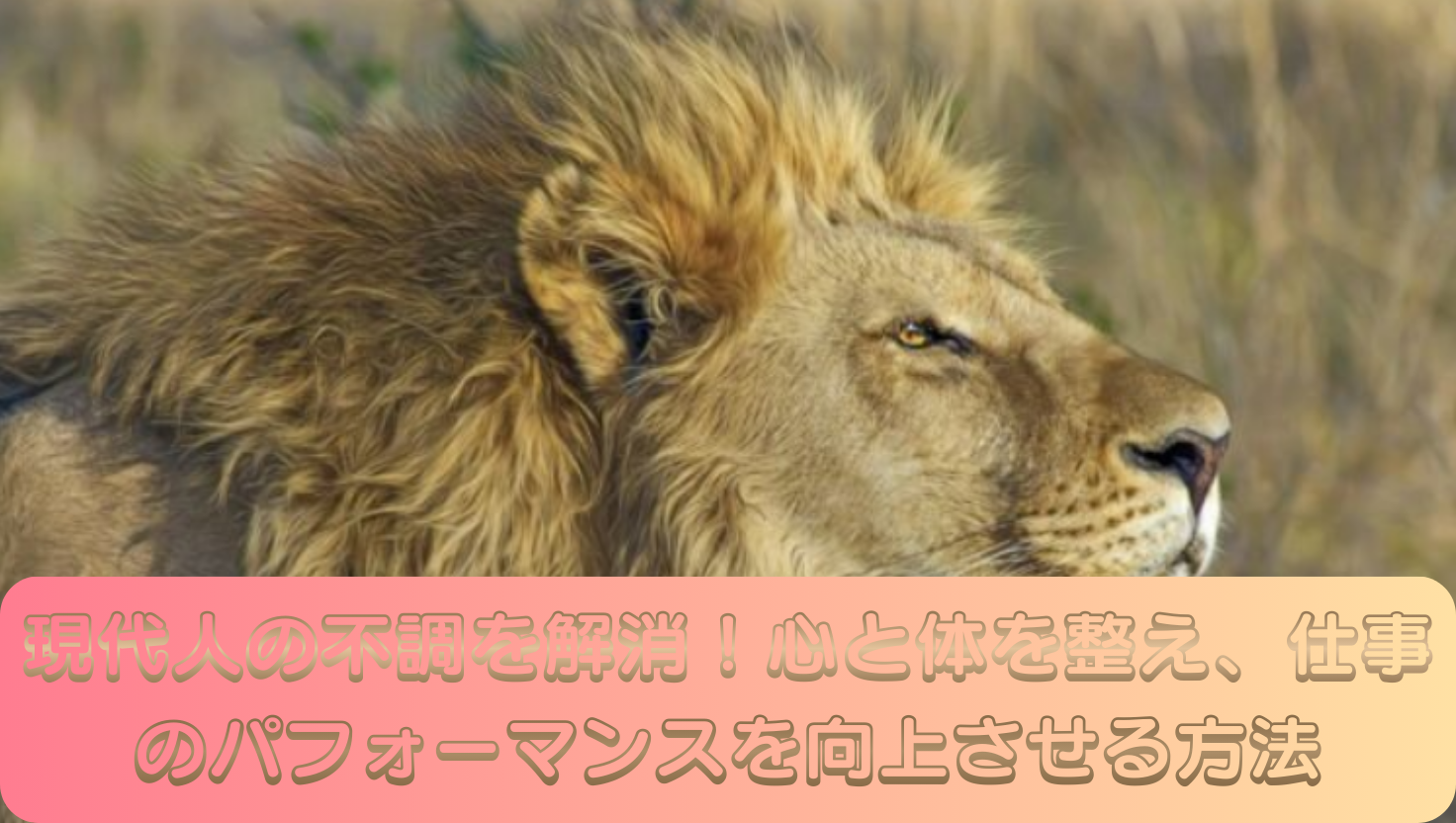 現代人の不調を解消！心と体を整え、仕事のパフォーマンスを向上させる方法のタイトル画像