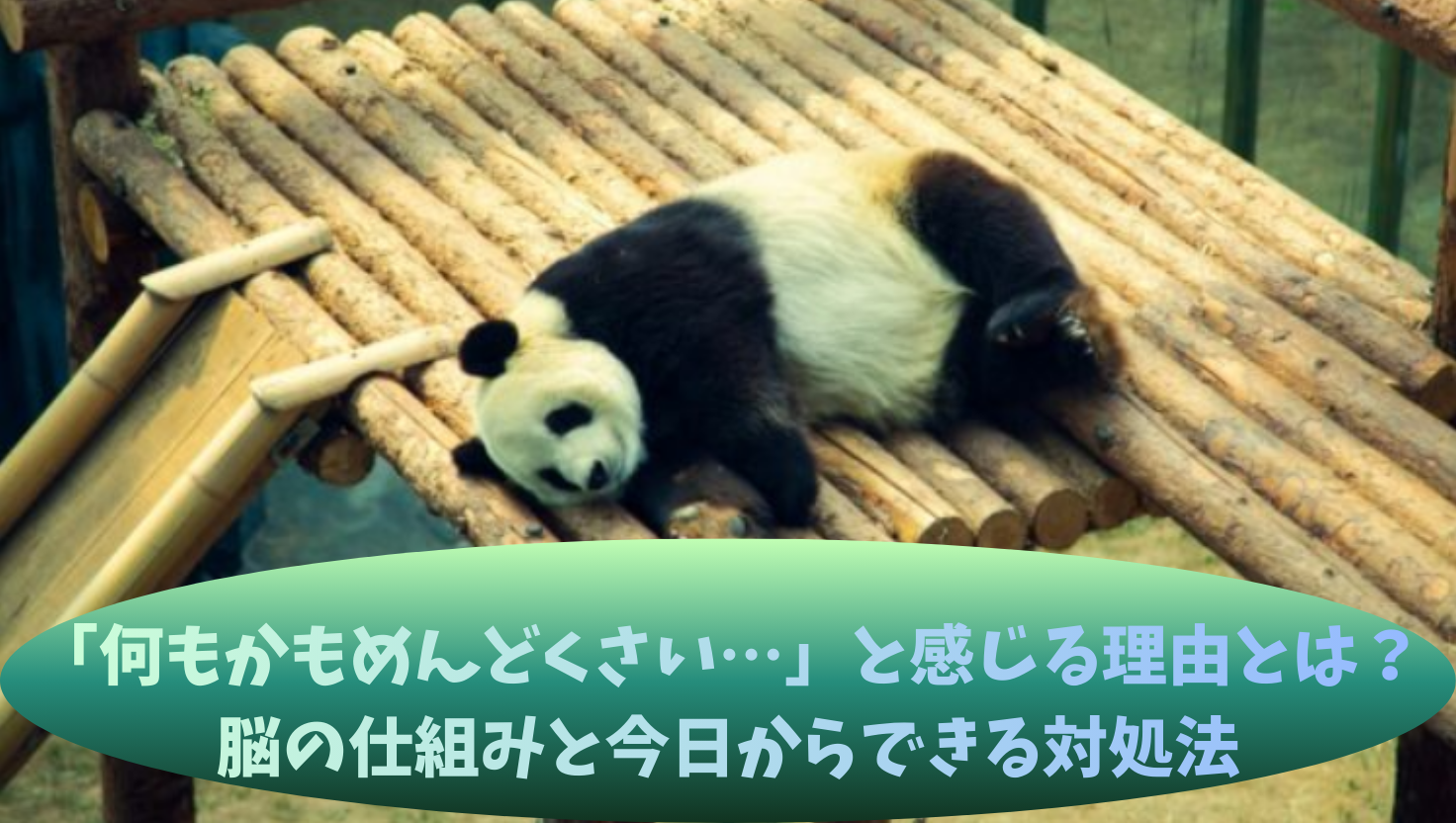 「何もかもめんどくさい…」と感じる理由とは？脳の仕組みと今日からできる対処法のタイトル画像