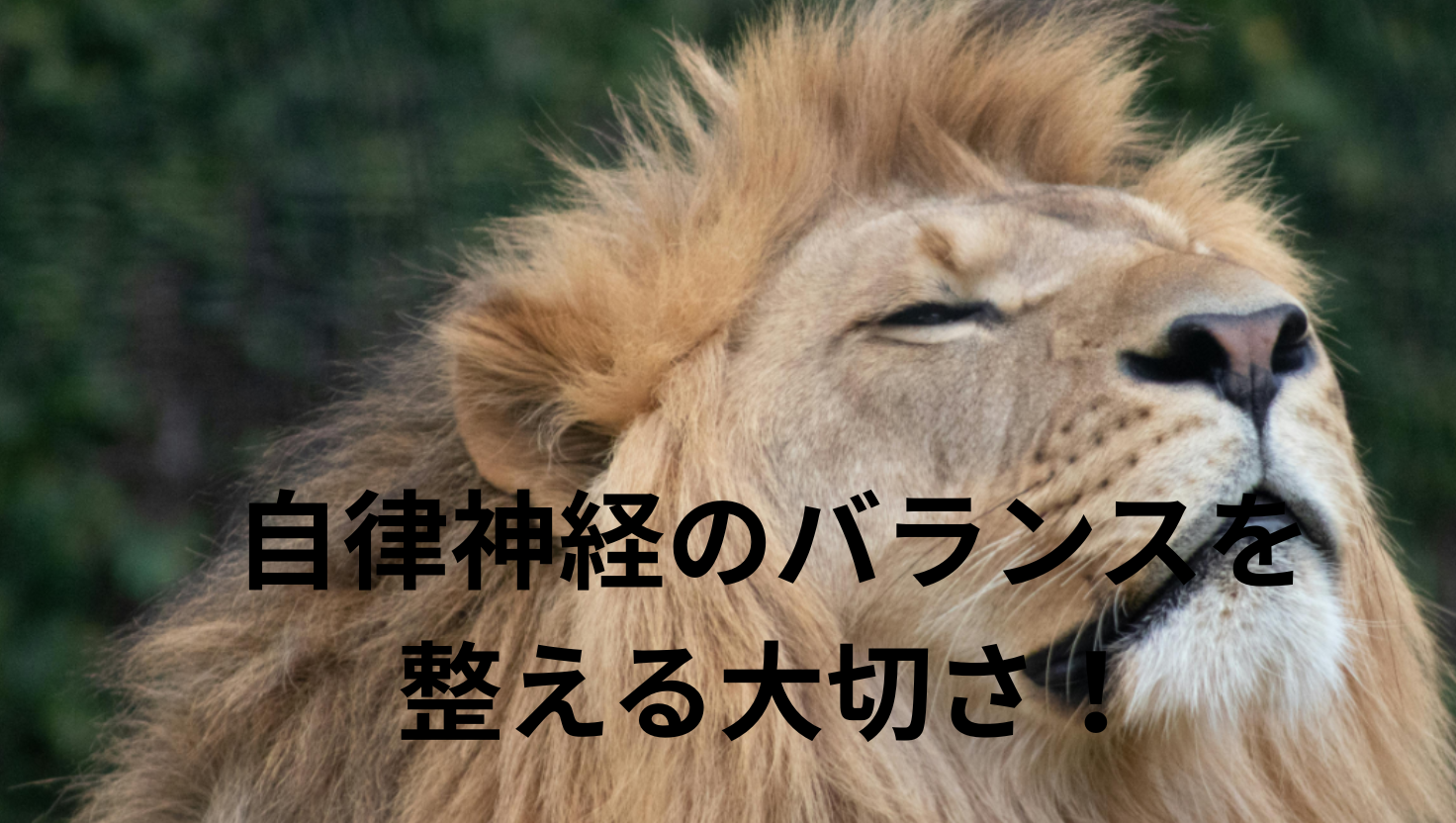 自律神経のバランスを整える大切さ！のタイトル画像
