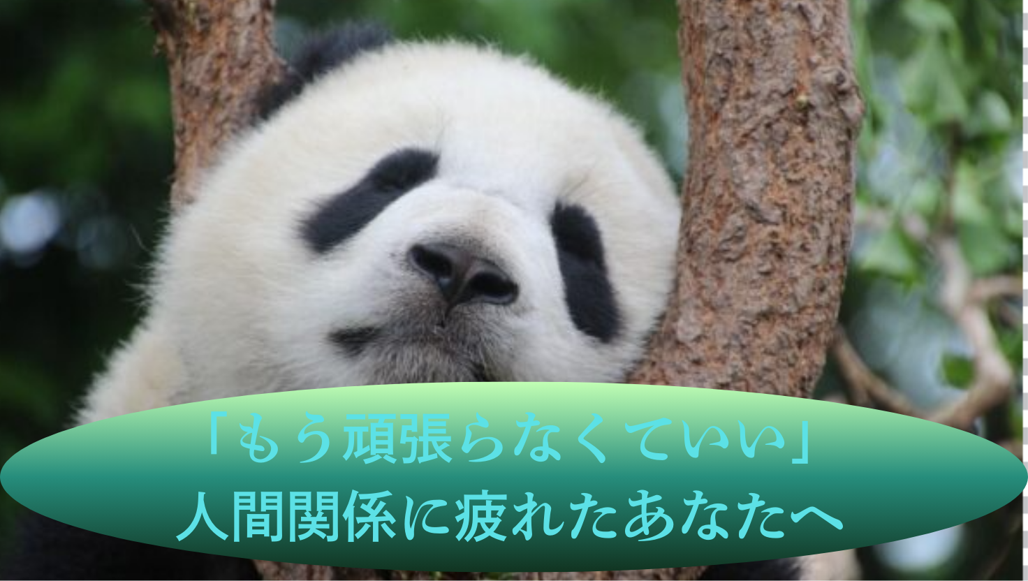 「もう頑張らなくていい」人間関係に疲れたあなたへのタイトル画像