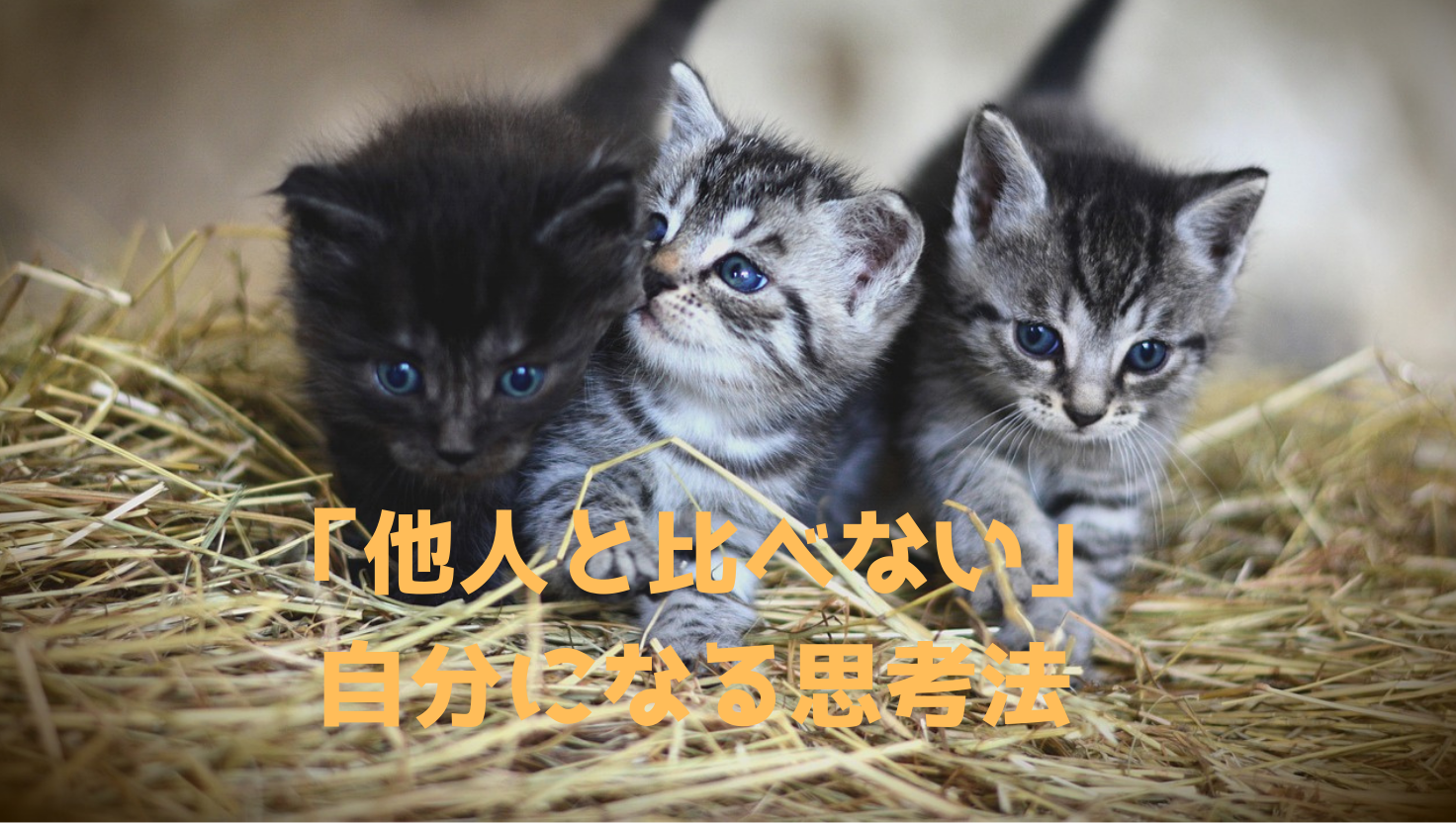 「他人と比べない」自分になる思考法のタイトル画像